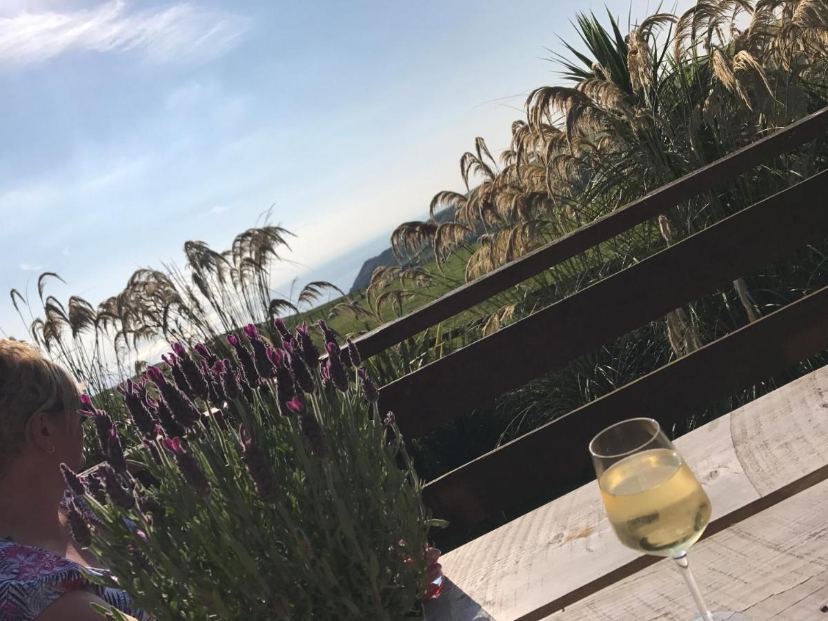 Lodge Cabin With Fabulous Views - Farm Holiday ストランラー エクステリア 写真