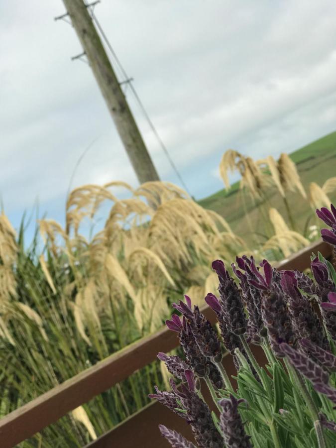 Lodge Cabin With Fabulous Views - Farm Holiday ストランラー エクステリア 写真